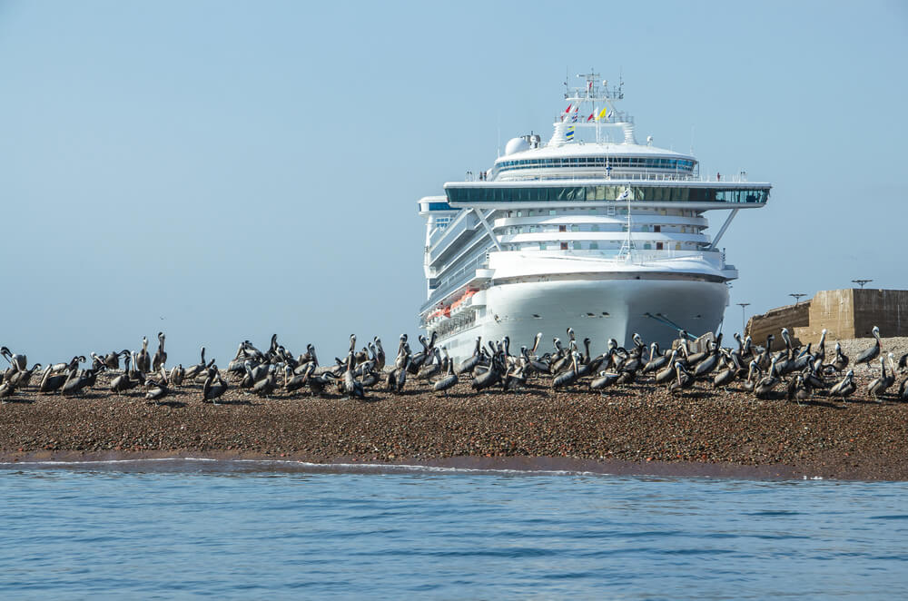 south american cruises