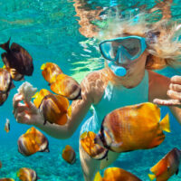 wave season - cruise deals 2020